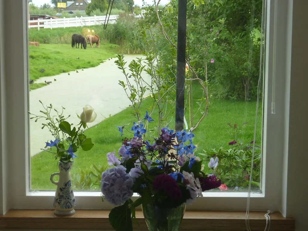 B&B Bloom Amsterdam