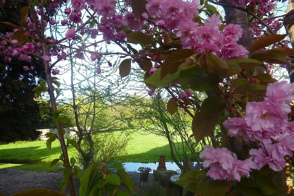Bed & Breakfast B&B Bloom